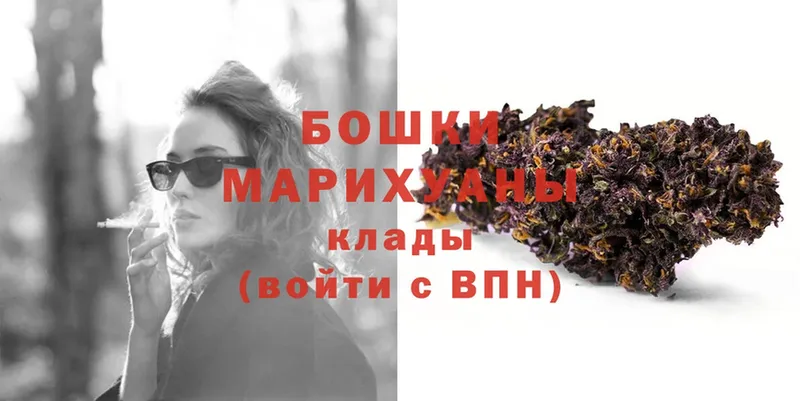 как найти   Багратионовск  Марихуана THC 21% 